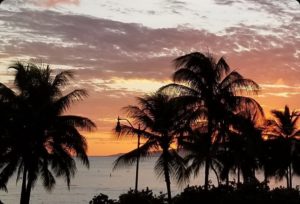 Adam &amp; Nancy had a wonderful week in Hawaii, island hopping from Big Island to Oahu to Maui seeing the sites. They're vacation was one total package and they never had to pick up the phone! 