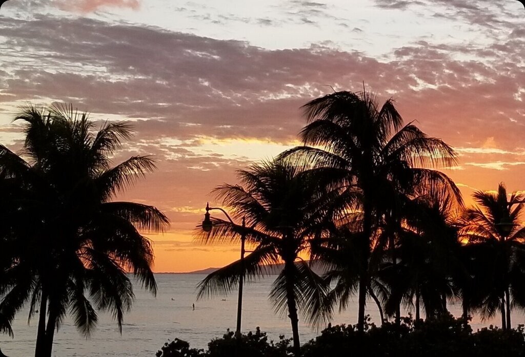 Adam &amp; Nancy had a wonderful week in Hawaii, island hopping from Big Island to Oahu to Maui seeing the sites. They're vacation was one total package and they never had to pick up the phone! 